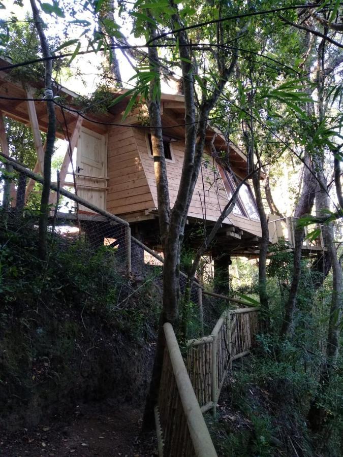 Hotel Cabanas Bosques De Loncotraro Villarrica Exterior foto